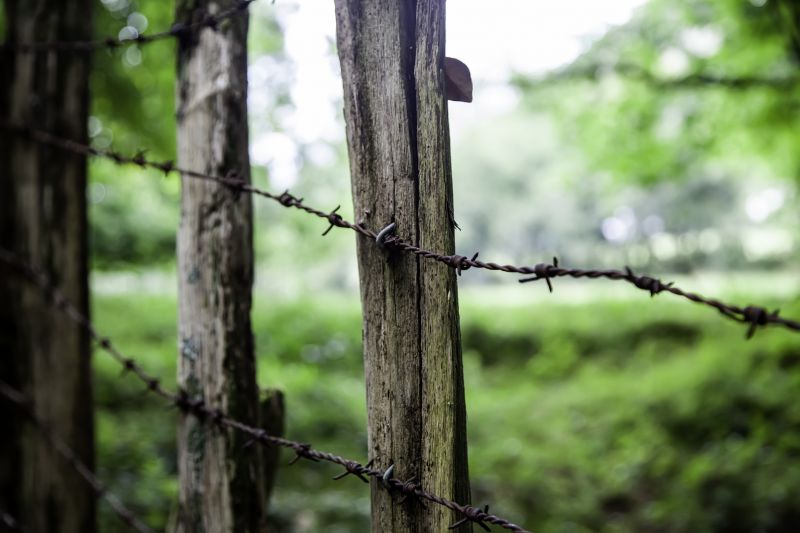 Cattle Fence Repair detail